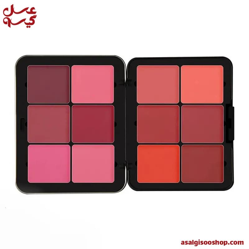 پالت رژگونه کرمی فیوچر میکاپ ۱۲ رنگ|Future Makeup Cream Blush Palette 12 Colors| کد 2573 — تصویر ۳