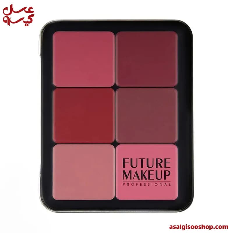 پالت رژگونه کرمی فیوچر میکاپ ۱۲ رنگ|Future Makeup Cream Blush Palette 12 Colors| کد 2573
