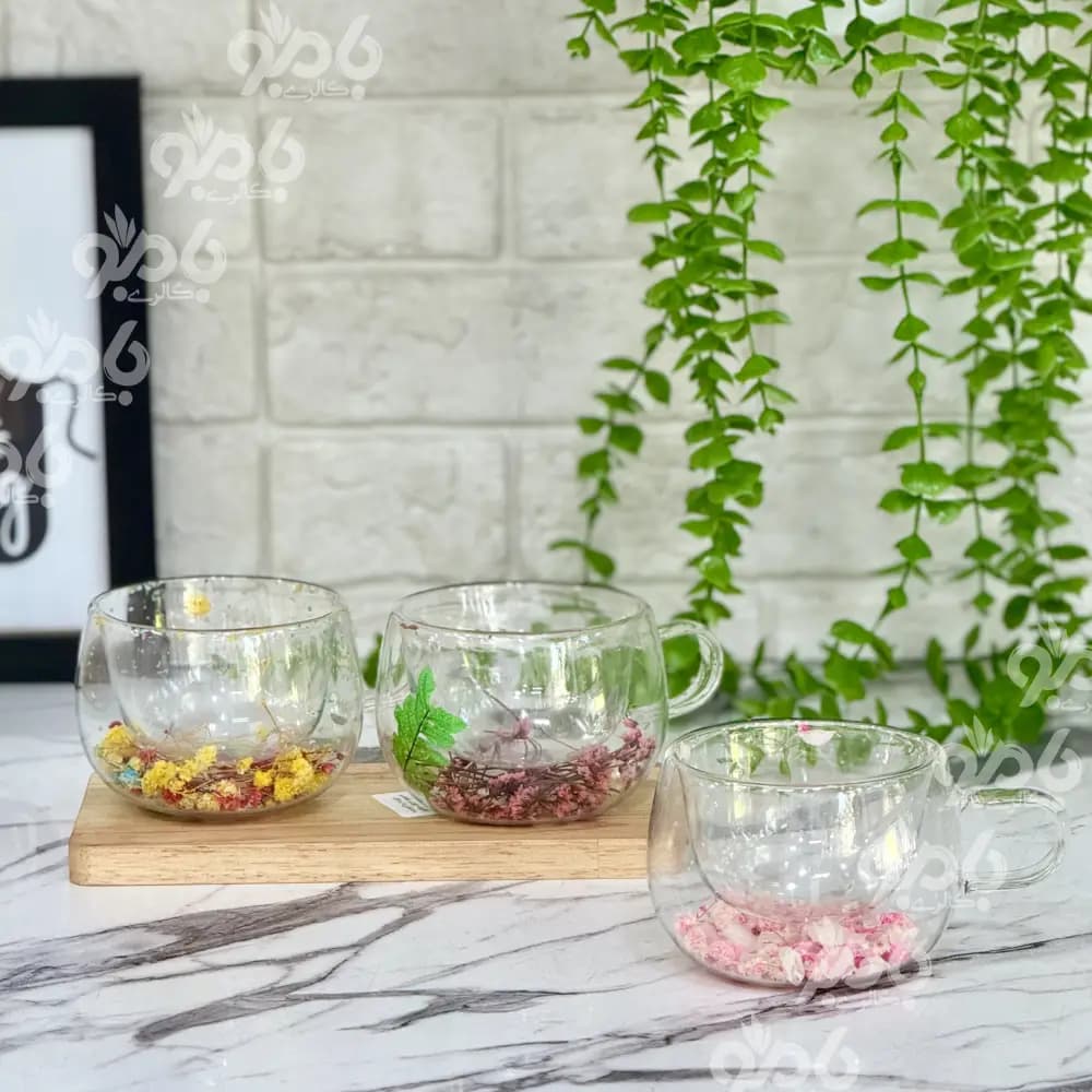 ماگ دوجداره پیرکس داخل گلدار 7سانت