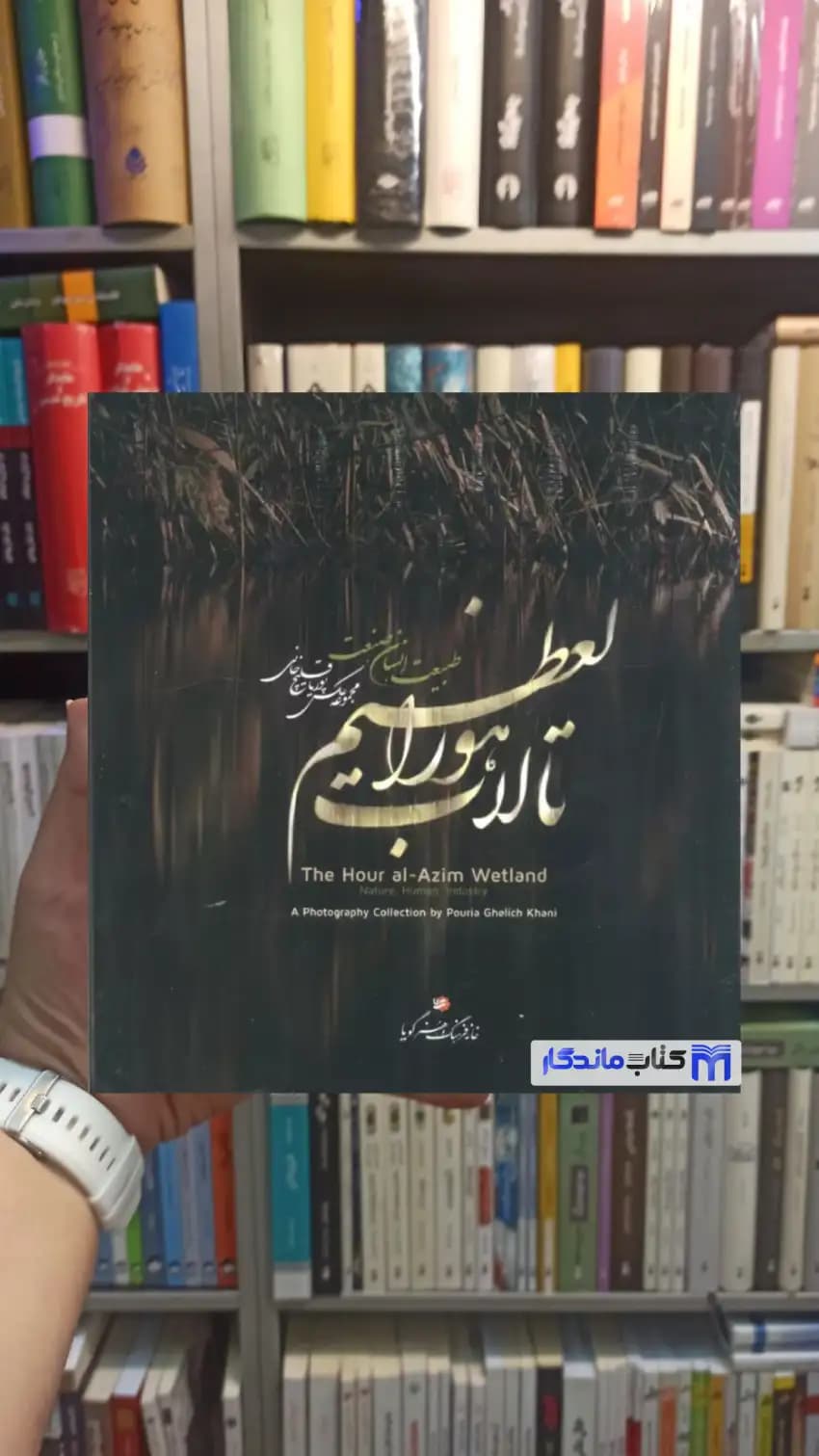 تالاب هورالعظیم پوریا قلیچ خانی خانه فرهنگ و هنر گویا