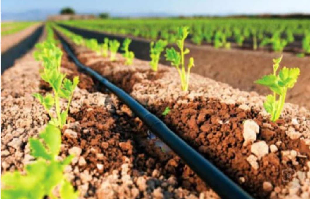 نوارتیپ باکیفیت پتوس20سانتی