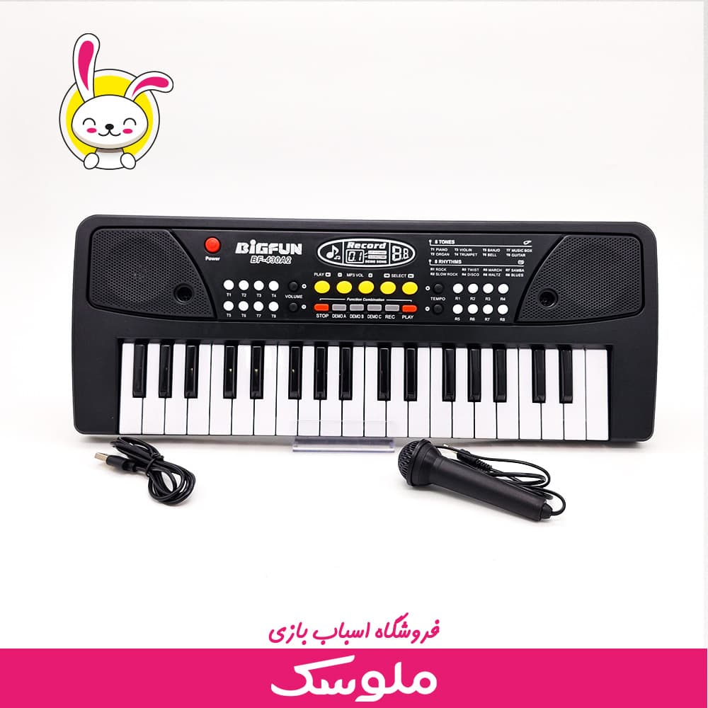 اسباب بازی ارگ بیگ فان
