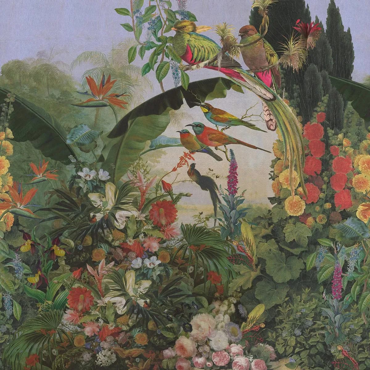 کاغذ دیواری راش آلبوم Barbara Home Collection III سری Poster — تصویر ۳