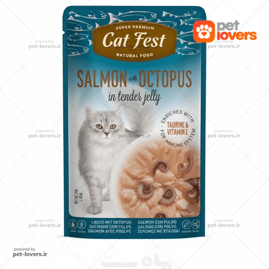 پوچ گربه طعم اختاپوس و سالمون کت فست Cat Fest وزن 70 گرم