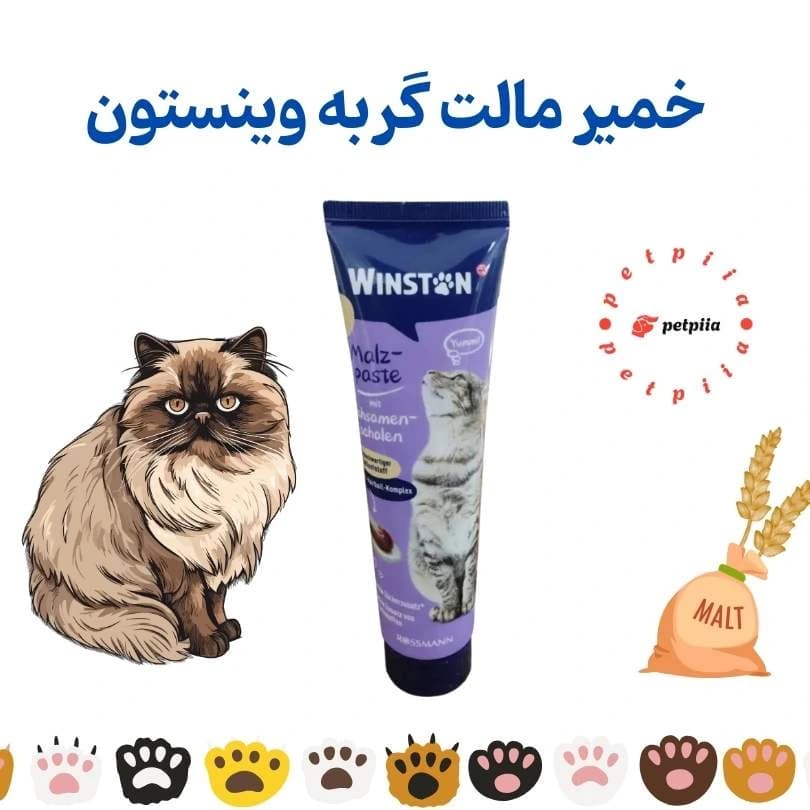 خمیر مالت گربه وینستون مدل flea seed husks وزن 100 گرم