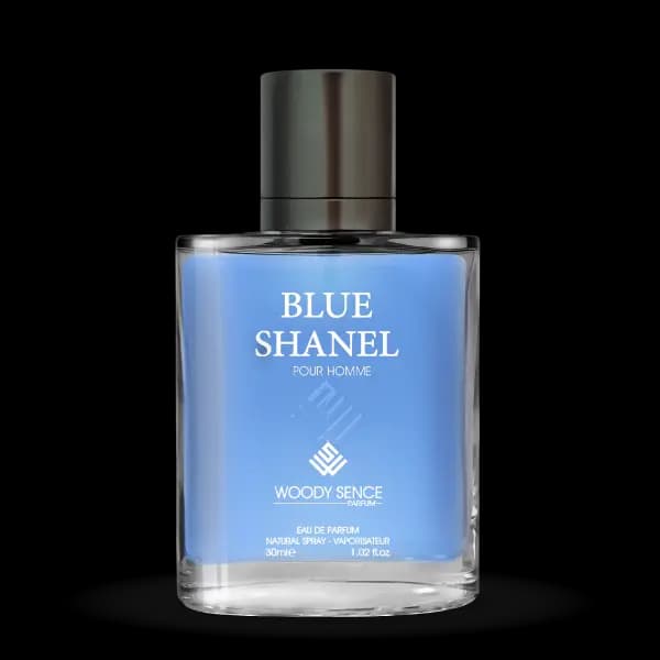 عطر جیبی مردانه وودی سنس مدل بلو شنل Blue Shanel حجم 30 میلی لیتر