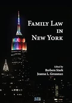 و دانلود نسخه کامل کتاب زبان اصلی Family Law in New York PDF | دانلود کتاب خارجی