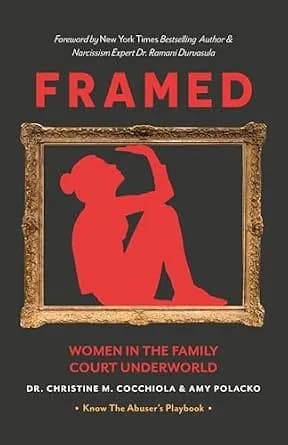 و دانلود نسخه کامل کتاب زبان اصلی Framed: Women in the Family Court Underworld PDF | دانلود کتاب خارجی — تصویر ۲