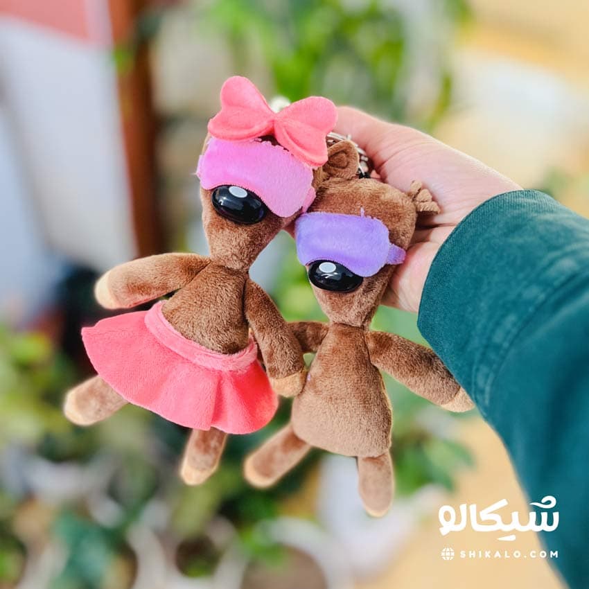 سرکلیدی تدی و لتی — تصویر ۲