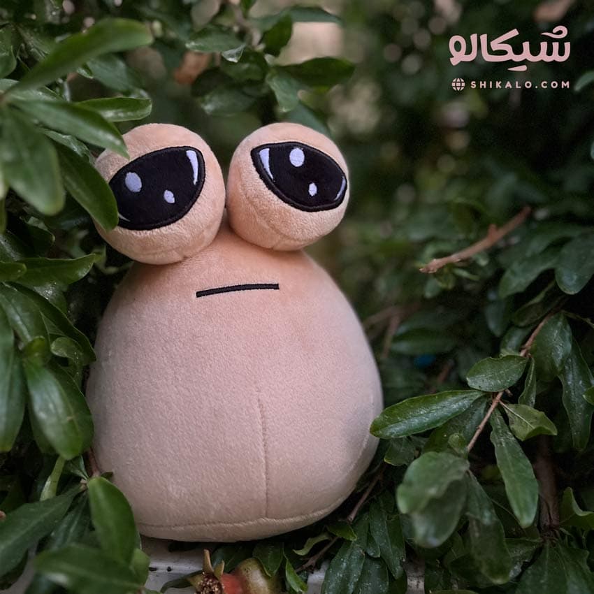 عروسک پو — تصویر ۵