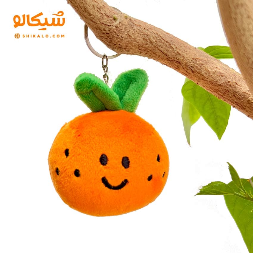 سرکلیدی نارنگی