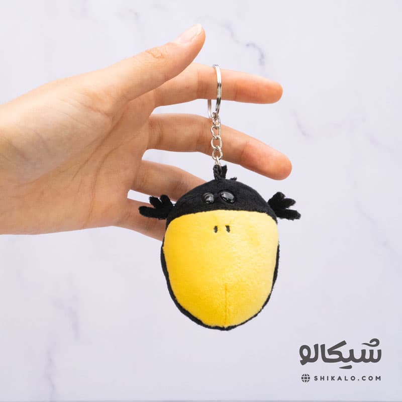سرکلیدی کلاغ