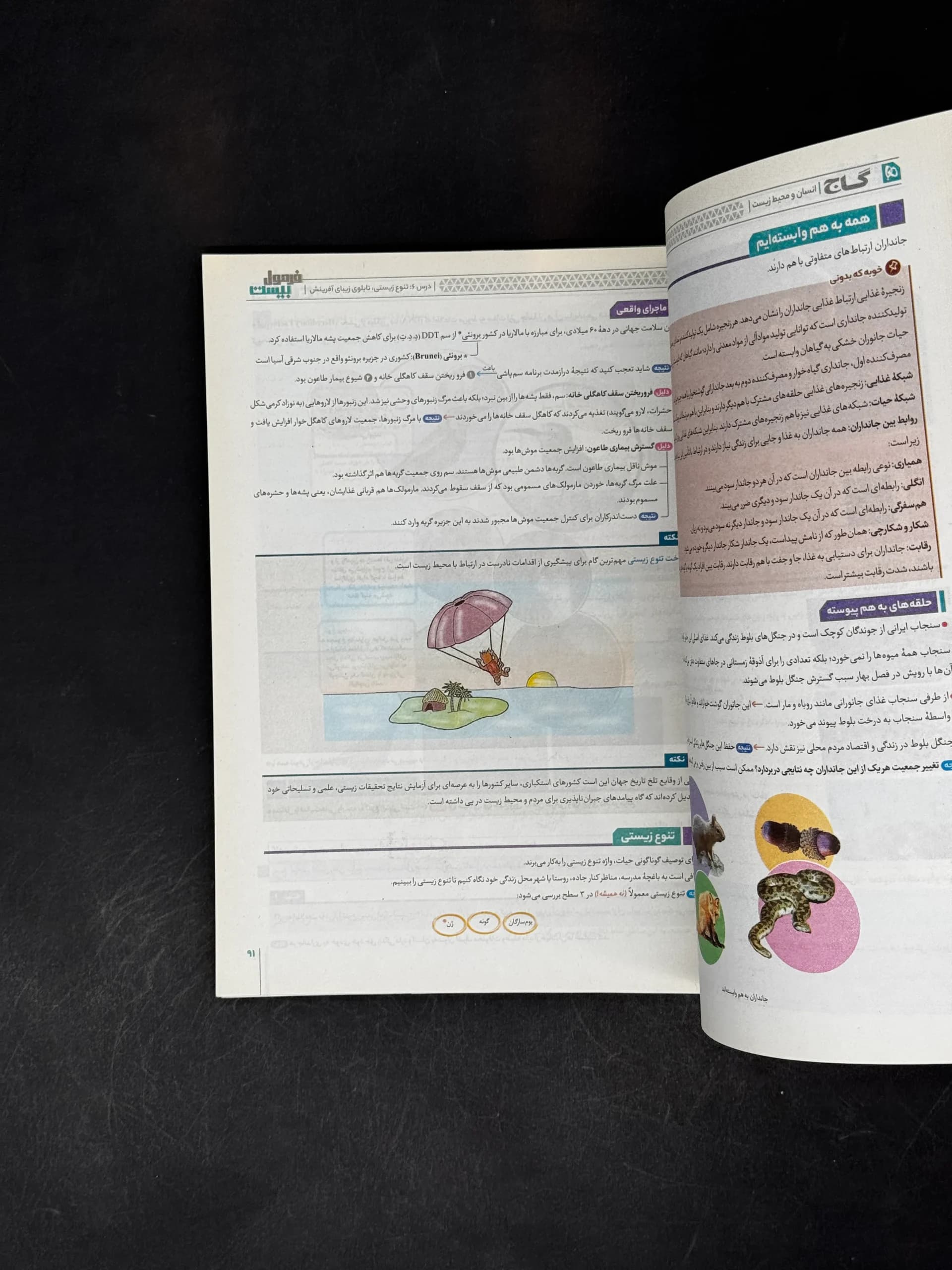 کتاب فرمول بیست انسان و محیط زیست یازدهم گاج (دست دوم) — تصویر ۳