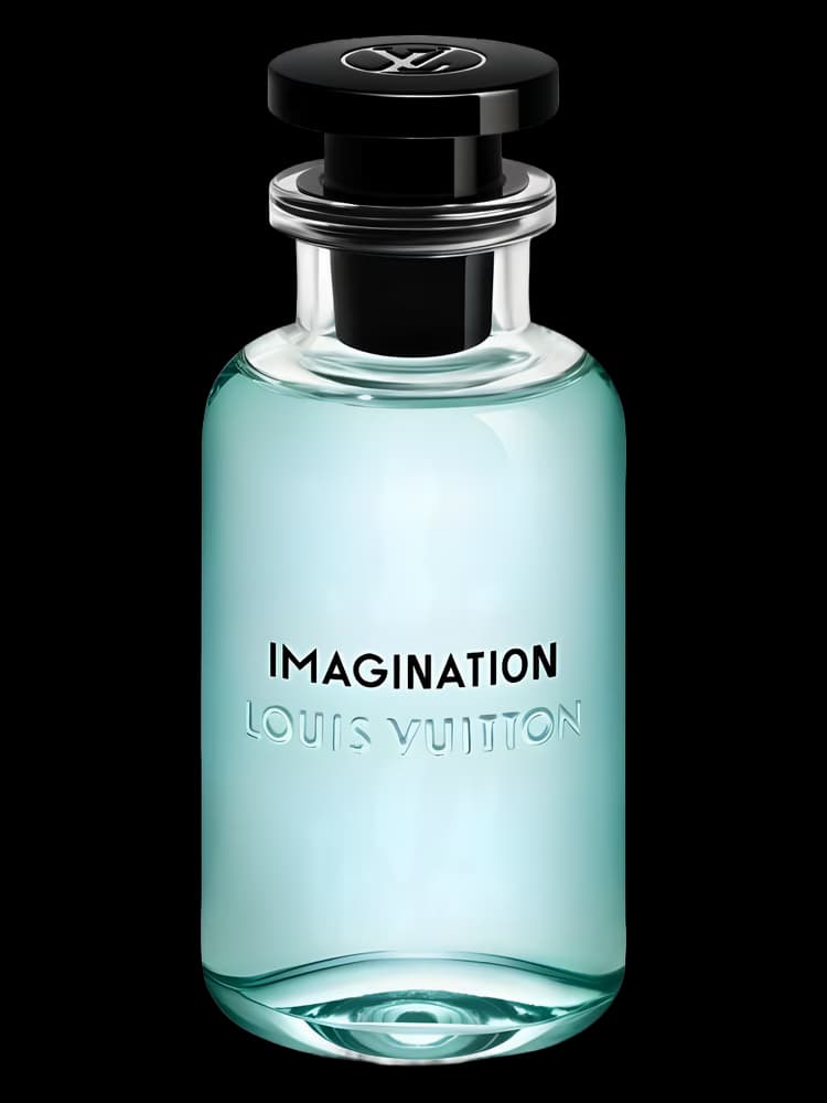 لویی ویتون ایمجینیشن | Louis Vuitton Imagination