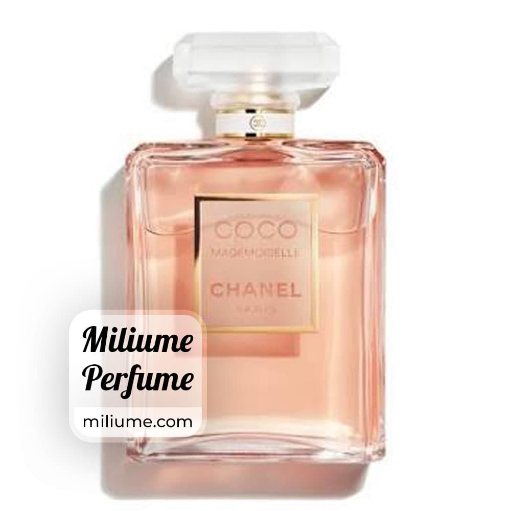 عطر شنل کوکو مادمازل زنانه | chanel coco mademoiselle women | برند RenneTouch