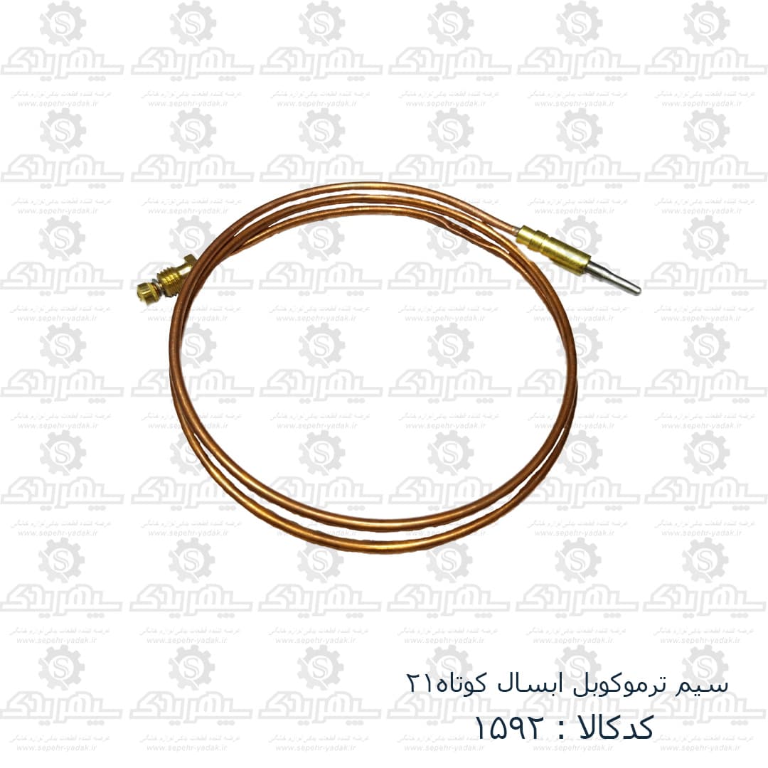 سيم ترموکوبل آبسال کوتاه 21