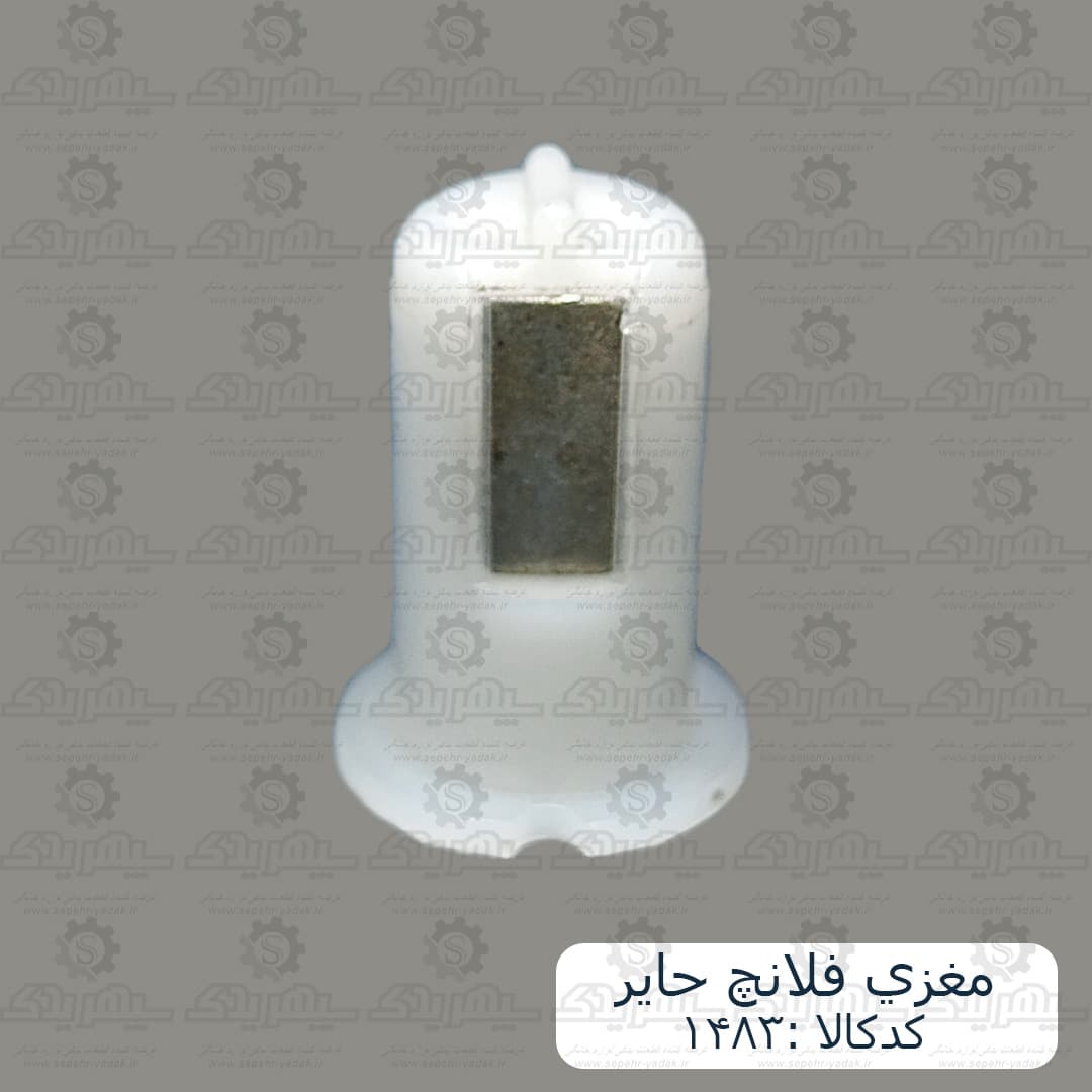 مغزي فلانچ حاير — تصویر ۲