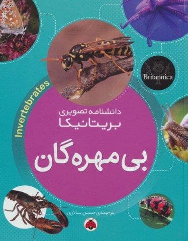 دانشنامه تصویری بریتانیکا (بی مهره گان)،(گلاسه،زرکوب،رحلی،شهر قلم)
