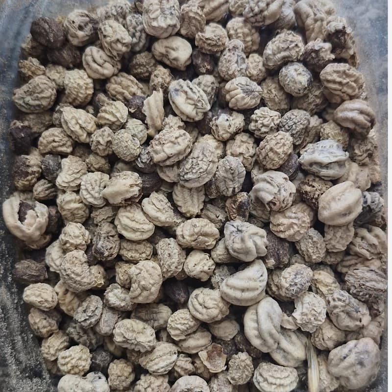 بخور لادن 10 گرم