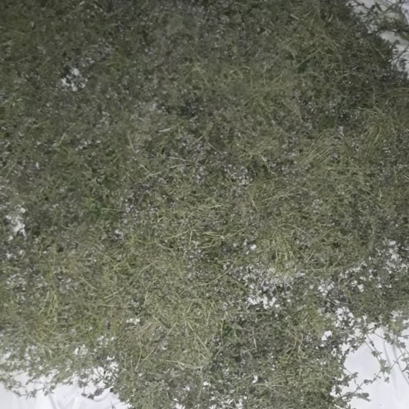 دمنوش مریم گلی 75 گرم