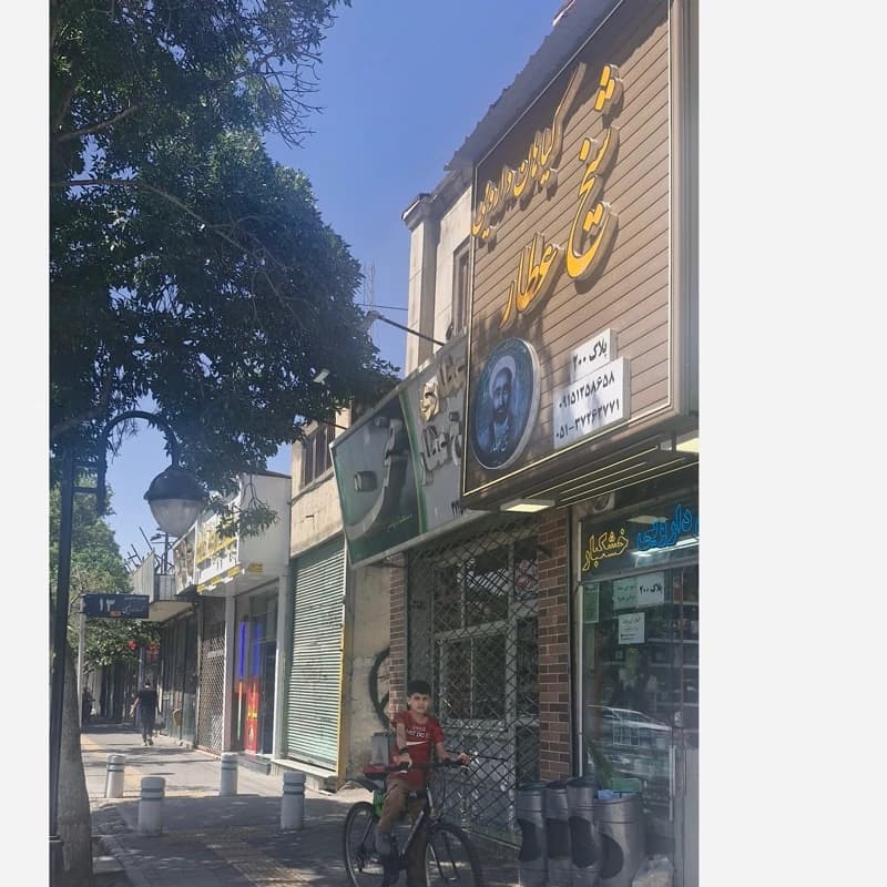 میعه ناشفه (50گرم) — تصویر ۲