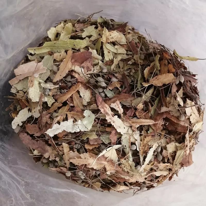 لیندن یک سیر — تصویر ۲