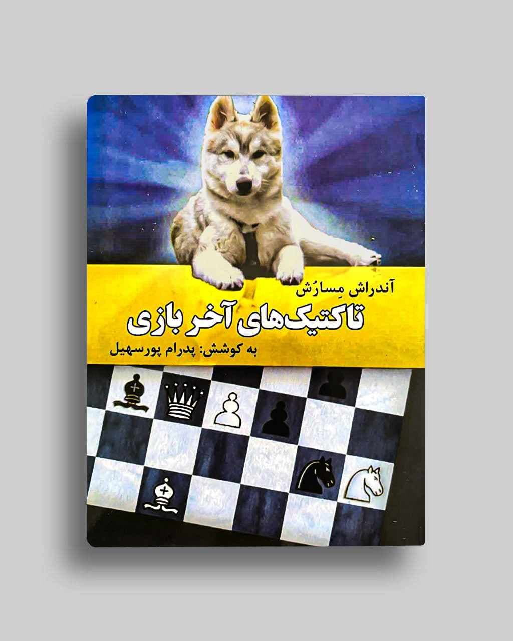 تاکتیک های آخر بازی پدرام پورسهیل