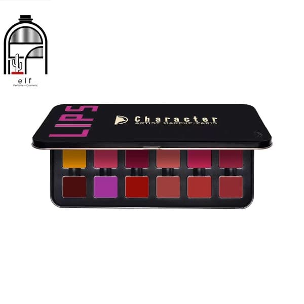 پالت رژلب استیل کارکتر مدل C-A401 Character Steel Lip Palette (C-A401)
