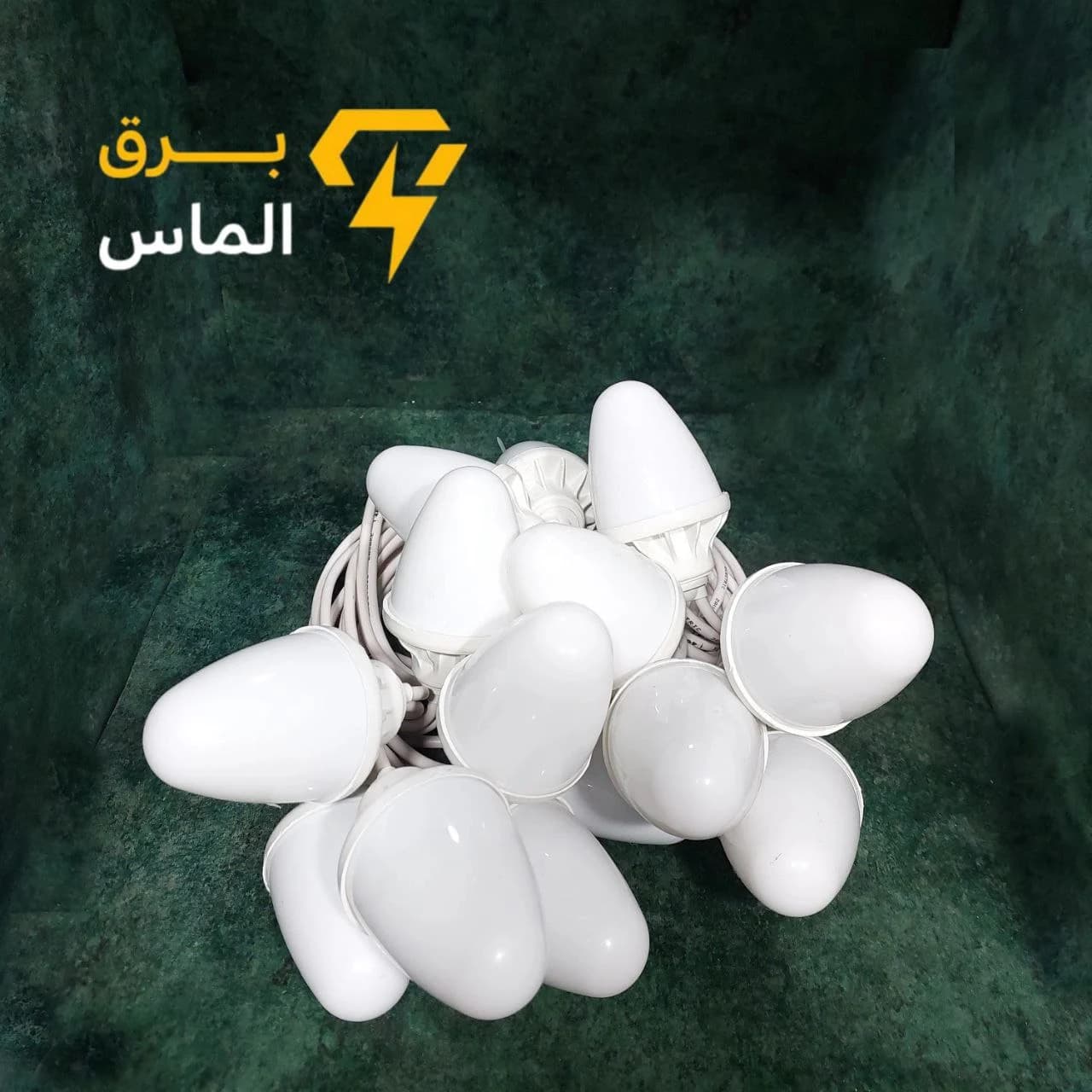ریسه بلوطی ۱۰ متری ۱۵ شعله RGB (7رنگ) ضد آب پارسیان الکتریک — تصویر ۲