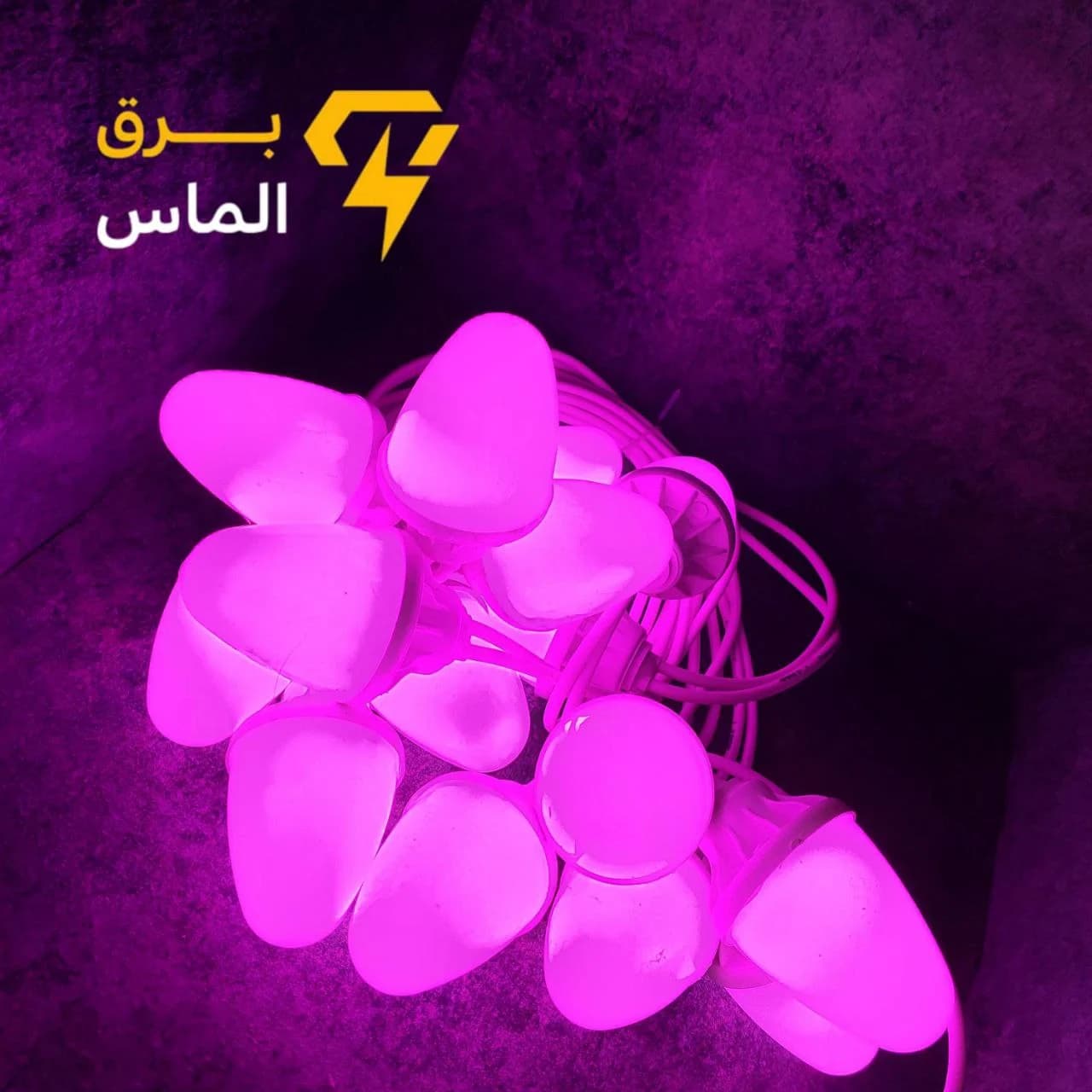ریسه بلوطی ۱۰ متری ۱۵ شعله RGB (7رنگ) ضد آب پارسیان الکتریک — تصویر ۳