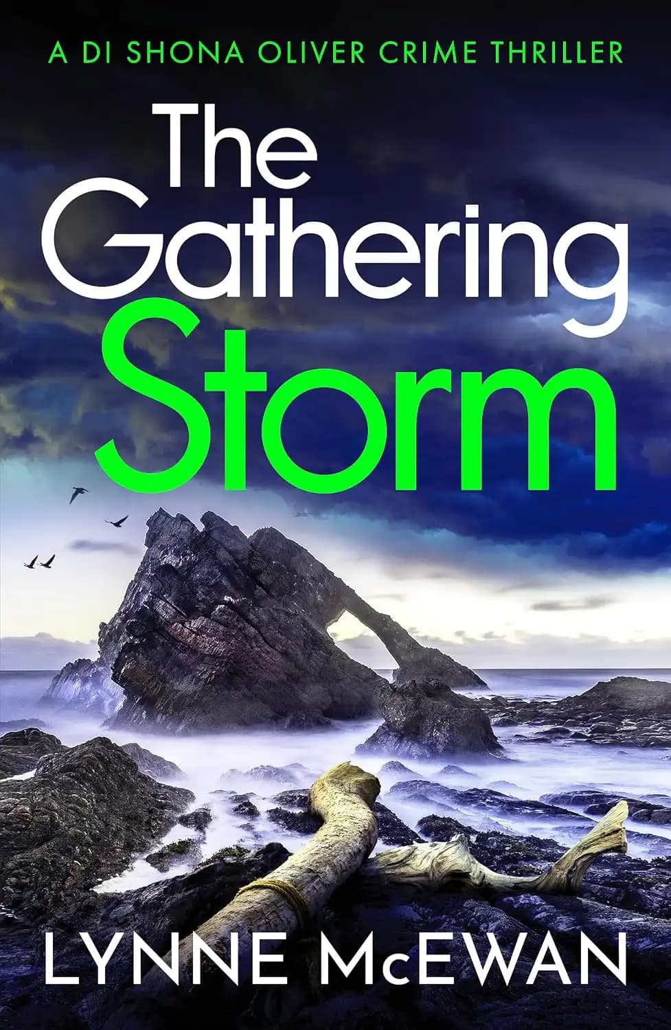 کتاب طوفان در حال جمعشدن (The Gathering Storm) نسخه انگلیسی PDF | لین مکایوان — تصویر ۲