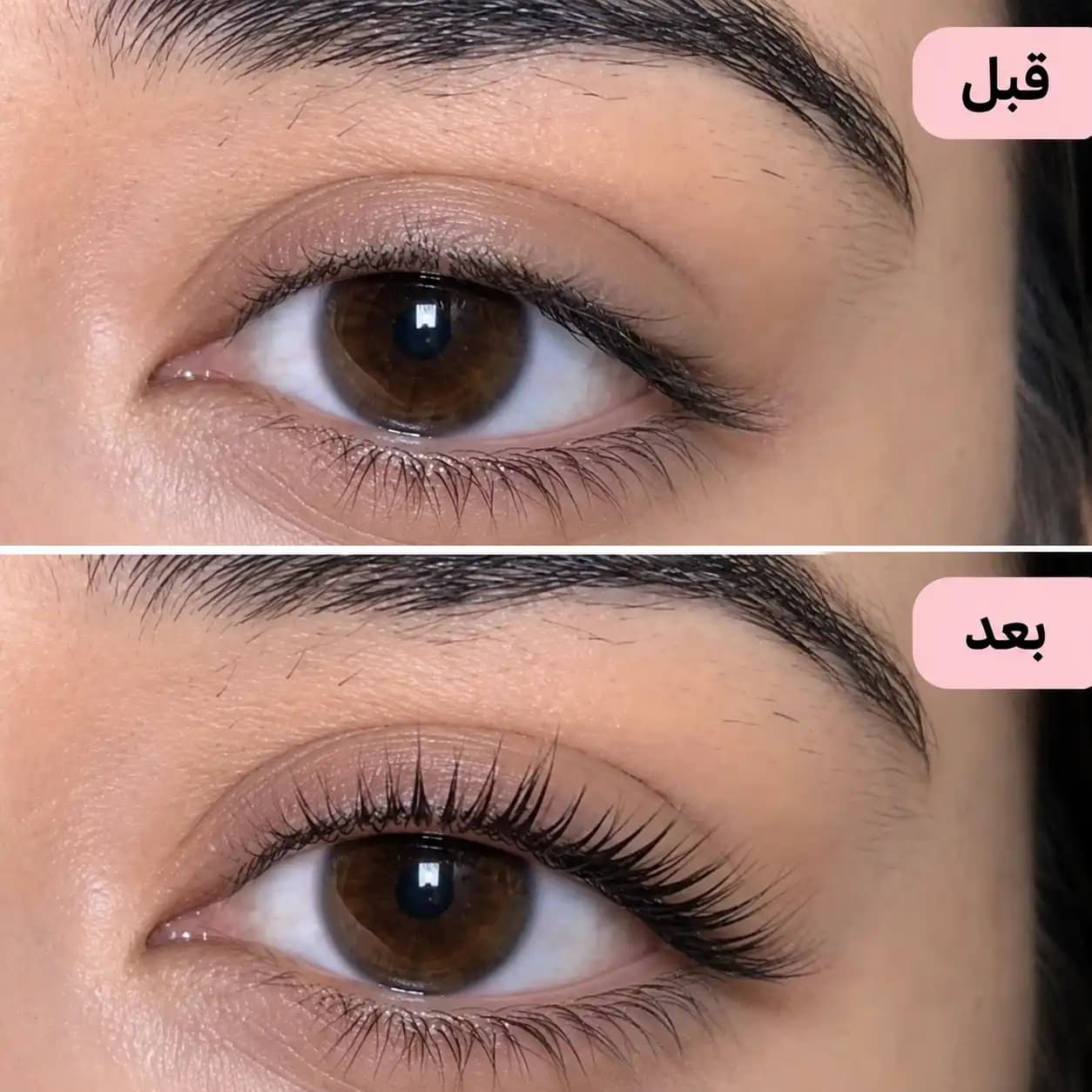روغن تقویت مژه لاکچری کوین کمک به تقویت، افزایش ضخامت و رشد مژه — تصویر ۳