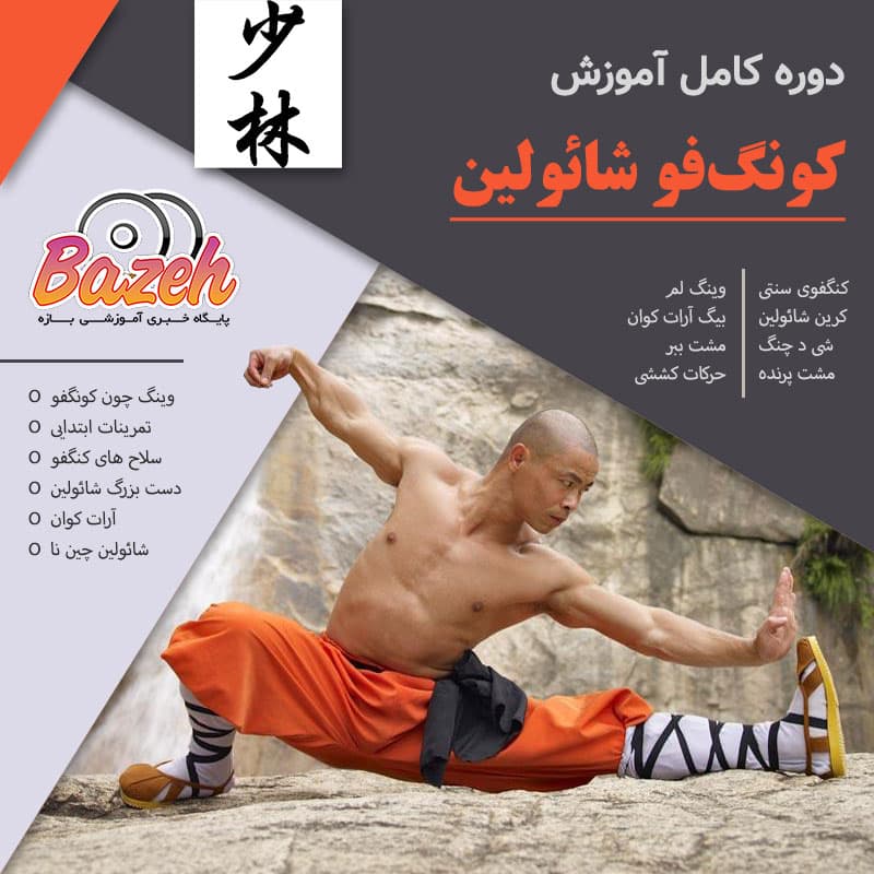 آموزش کونگ فو شائولین: نسخه دانلودی