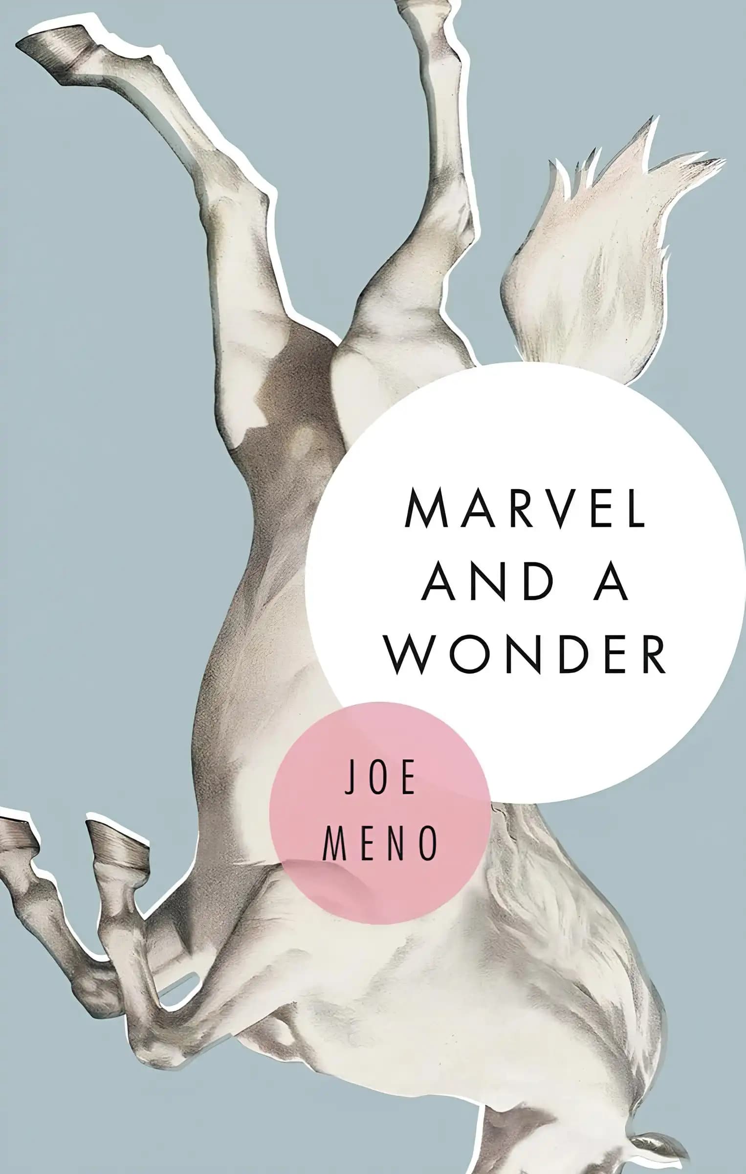 کتاب مارول و یک شگفتی (Marvel and a Wonder) نسخه انگلیسی PDF | جو منو — تصویر ۲