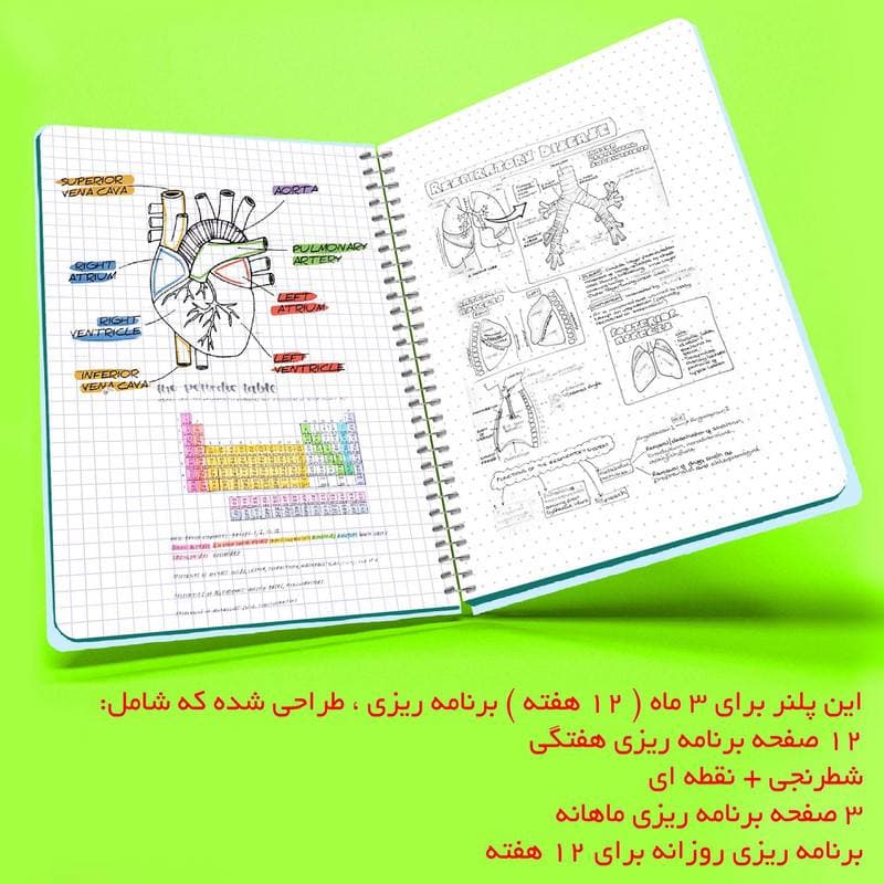 پلنر هفتگی قلب قلبی — تصویر ۶