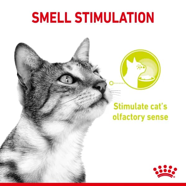 پوچ گربه رویال کنین Sensory Smell وزن 85 گرم — تصویر ۶