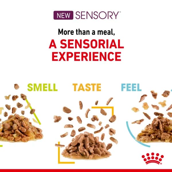 پوچ گربه رویال کنین Sensory Smell وزن 85 گرم — تصویر ۷