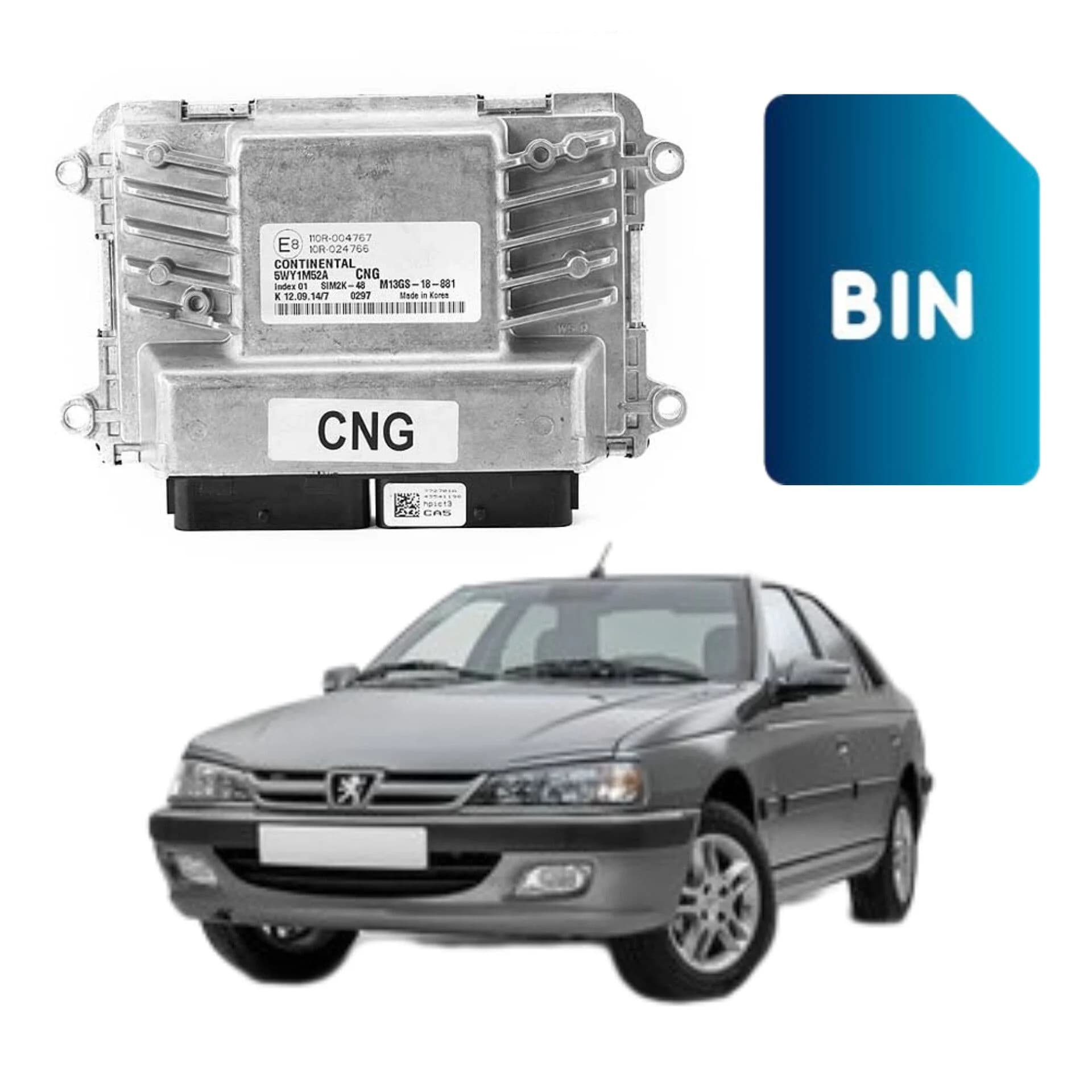 فایل دامپ بیکد ایسیو زیمنس SIEMENS-Pars(Immo)-Bifuel