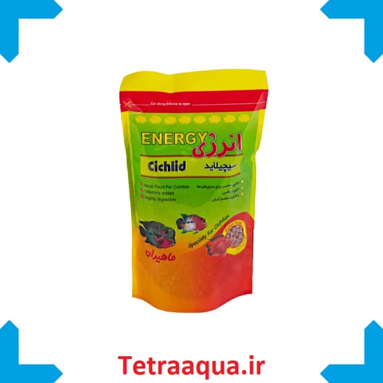 انرژی 100 گرمی ماهی آکواریوم سیچیلاید