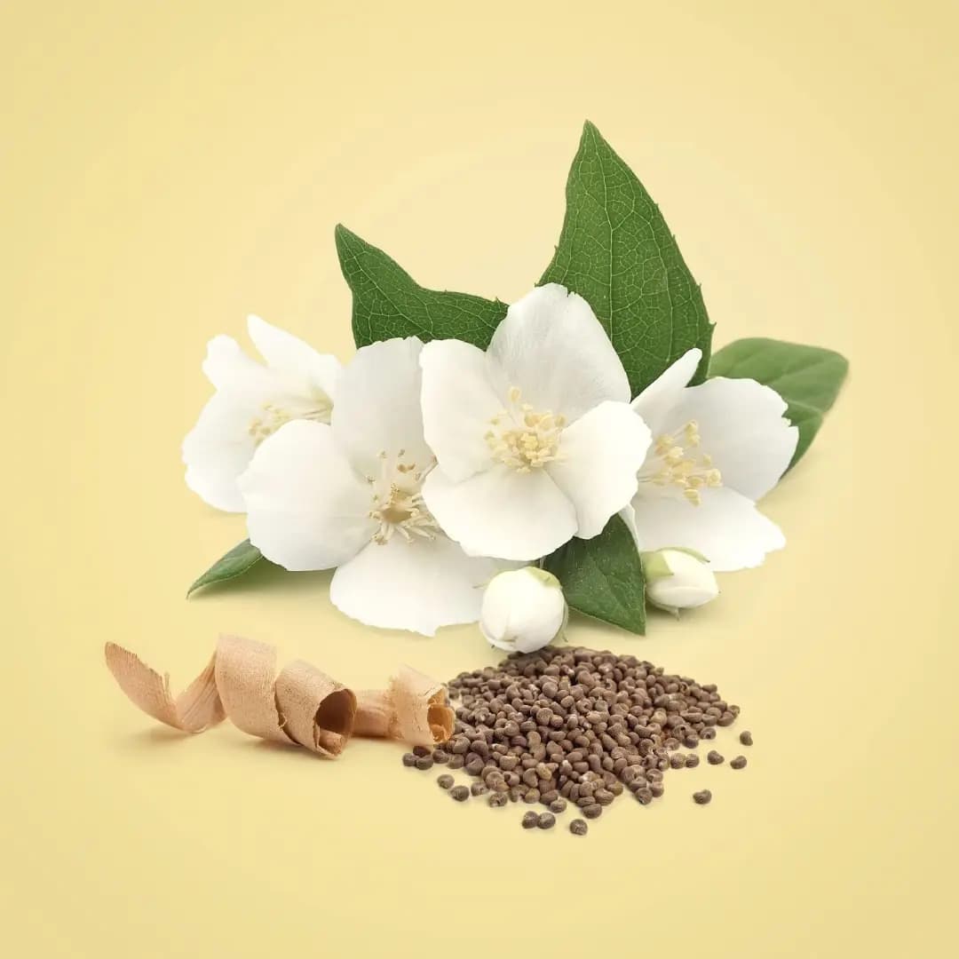 ادو پرفیوم زنانه کلوین کلاین بیوتی Calvin Klein Beauty حجم ۱۰۰ میلی‌لیتر اصل — تصویر ۴