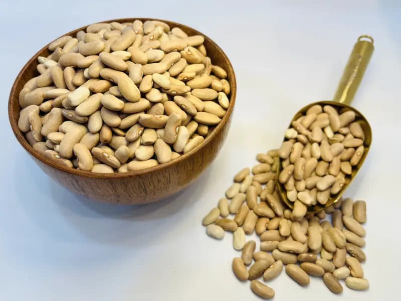 لوبیا کشاورزی ۵۰۰ گرمی