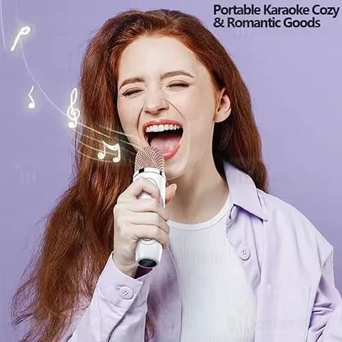 اسپیکر بلوتوث اوی Awei Y889 Karaoke Speaker توان 10 وات با میکروفون — تصویر ۴