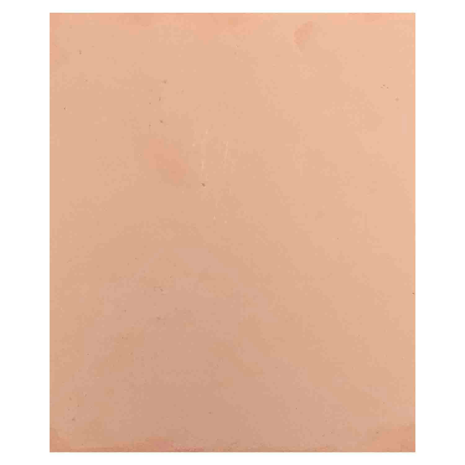 فیبر مدار چاپی 123×103 استخوانی