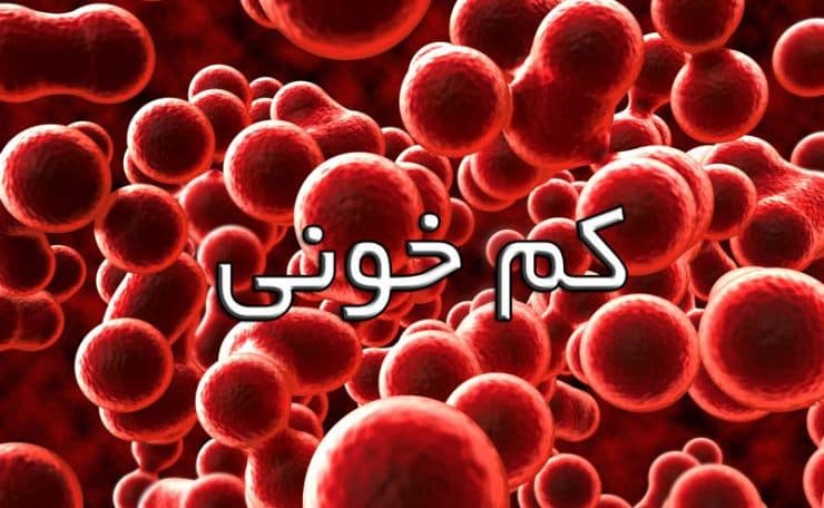 دانلود پاورپوینت کم‌خونی فقر آهن و کم‌خونی‌های تغذیه‌ای