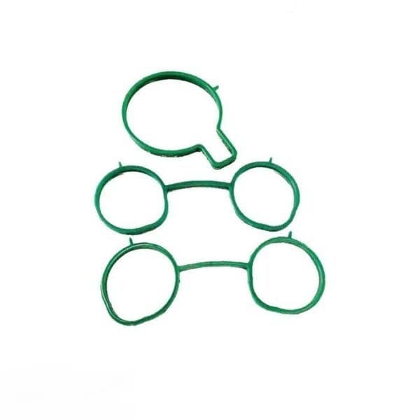 اورینگ منیفولد هوا ساینا GISP