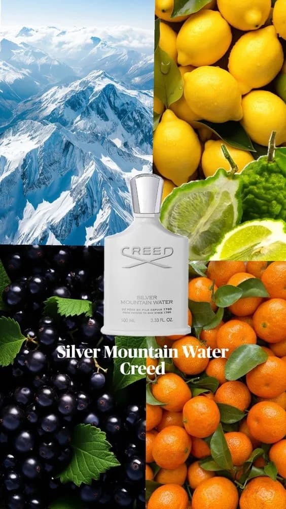 عطر ادکلن کرید سیلور مانتین واتر اصل — تصویر ۸