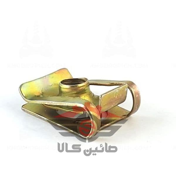 خار مهره 6