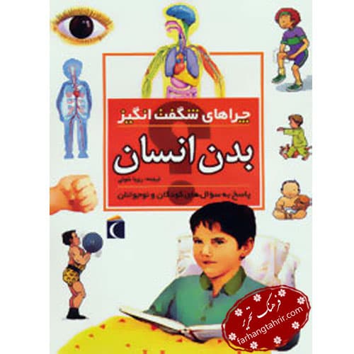 چراهای شگفت انگیز بدن انسان — تصویر ۲