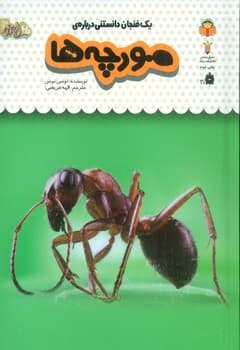 یک فنجان دانستنی درباره مورچه ها