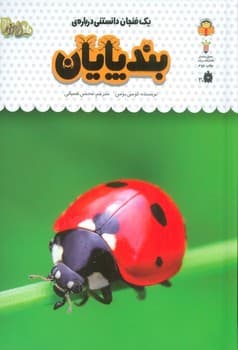 یک فنجان دانستنی درباره بندپایان